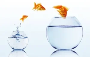 Outside your comfort zone to grow, fish jumping